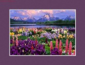 cold, sinusitis, allergy image healthtips images